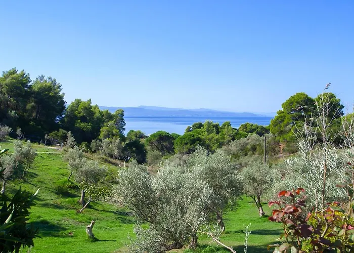 Angelos 3* Vromolimnos